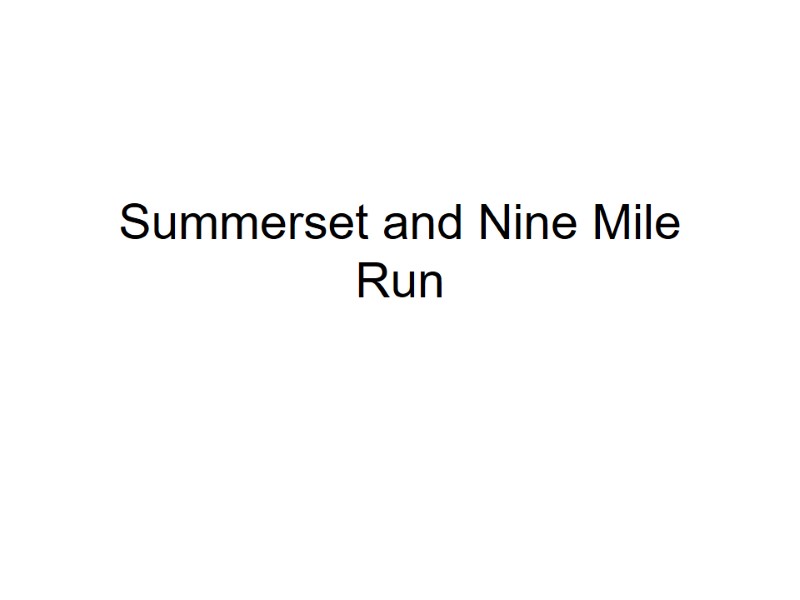 Summerset and Nine Mile Run